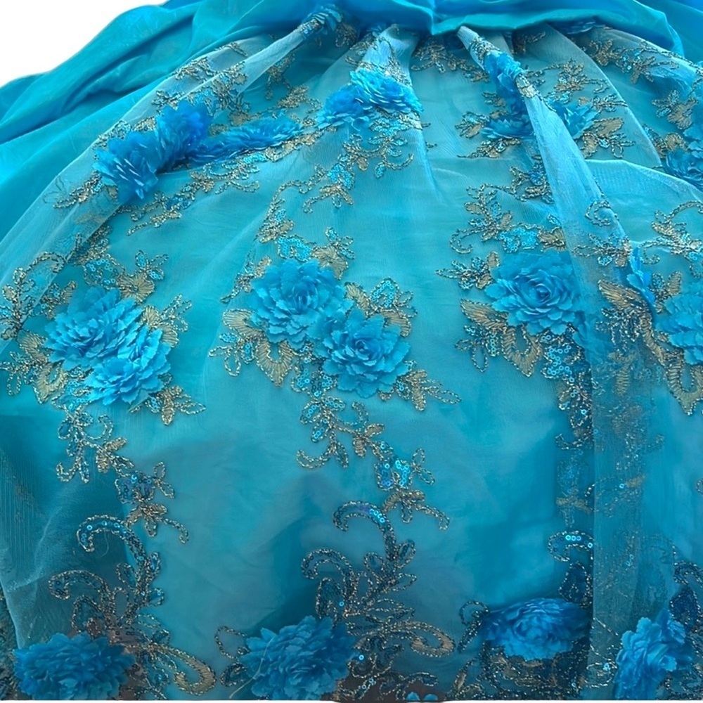 Cinderella divine gown. - Picture 9 of 9